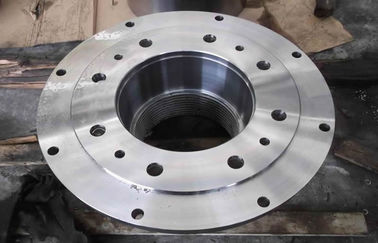 Xoắn kháng rèn thép Mặt bích / DN300 Lập phần mặt bích Đối với Điện lực